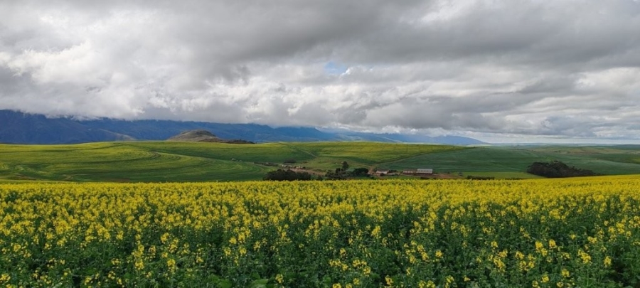 0 Bedroom Property for Sale in Caledon Western Cape